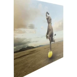 Best Glasbild Balance Elephant 150X100Cm Bilder