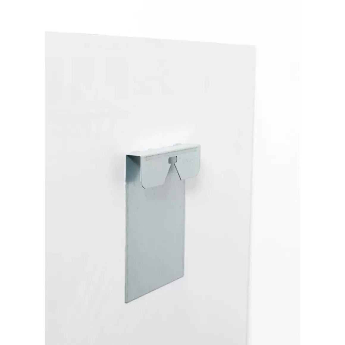 Outlet Glasbild Beetle Flower 100X100Cm Bilder