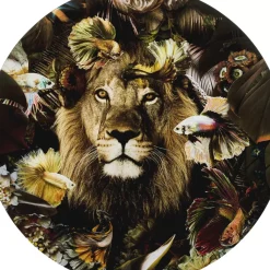 Best Glasbild Curious Lion O100Cm Bilder