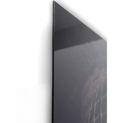 Online Glasbild Snake Girl 80X120Cm Bilder