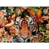 Online Glasbild Tiger On Hunt 150X100Cm Bilder