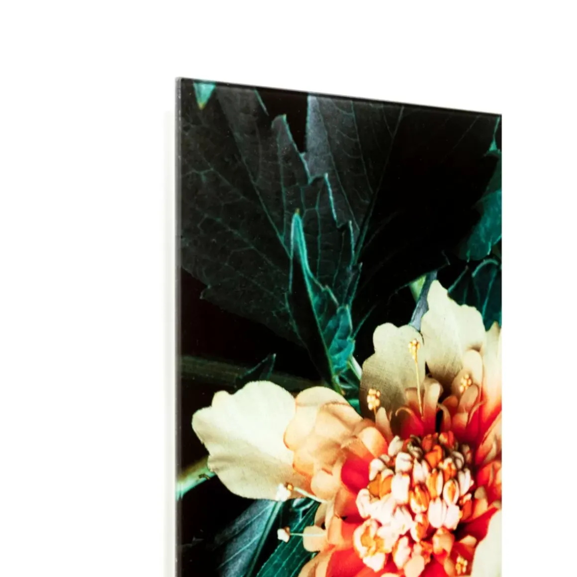 Online Glasbild Tiger On Hunt 150X100Cm Bilder