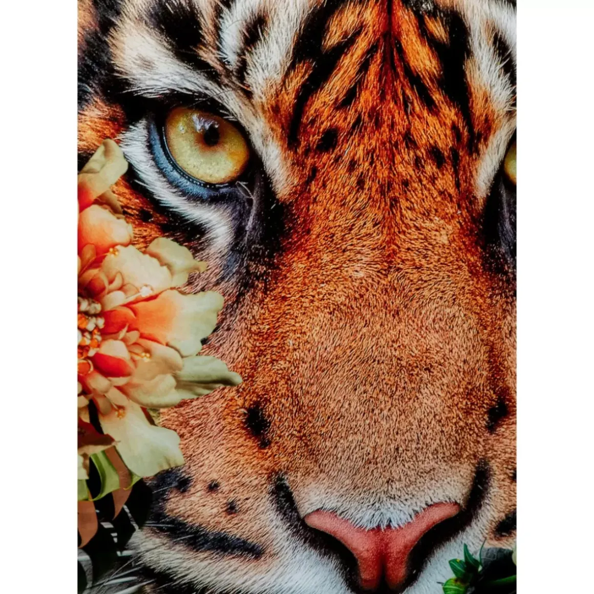 Online Glasbild Tiger On Hunt 150X100Cm Bilder