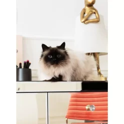 Online Konsole Luxury Champagne Kommoden & Sideboards