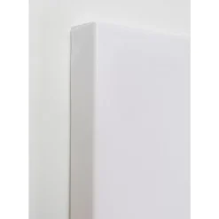 Best Leinwandbild Headdress Dog 80X80Cm Bilder