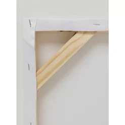 Best Leinwandbild Headdress Dog 80X80Cm Bilder