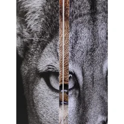 Online Paravent King Lion Vs Cat Girl 120X180Cm Paravents