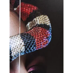 Paravent Royal Headdress Vs Snake Girl 120X180Cm Paravents