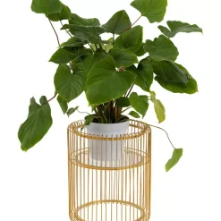 Sale Pflanzenstander Wire Gold 44Cm Aufbewahrung & Ordnung