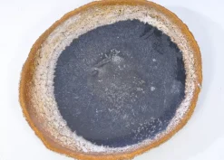 Best Platte Stone Age Versteinertes Holz Geschirr & Tischaccessoires