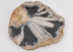 Platte Toverland Versteinertes Holz Geschirr & Tischaccessoires