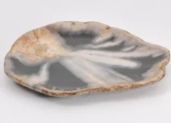 Platte Toverland Versteinertes Holz Geschirr & Tischaccessoires