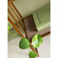 Clearance Regal Cesaro 90X170Cm Regale