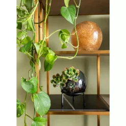 Clearance Regal Cesaro 90X170Cm Regale