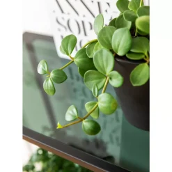 Hot Regal Loft Schwarz 195X115 Regale