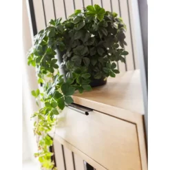 Discount Regal Modena Regale