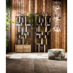 Clearance Regal Storm Regale