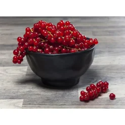 Sale Schale Organic Black O15Cm Geschirr & Tischaccessoires