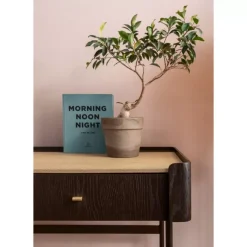 New Schreibtisch Milano 140 Tische