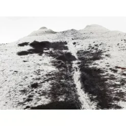 Best Teppich Hide Schwarz-Weis Teppiche