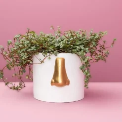 Discount Ubertopf Nase Weiss/Gold Sonstiges & Zubehör Accessoires