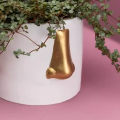 Discount Ubertopf Nase Weiss/Gold Sonstiges & Zubehör Accessoires