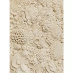 Wandobjekt Coral Reef O123Cm Bilder