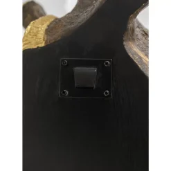 Best Wandobjekt Elegant Giraffe 44X78Cm Bilder