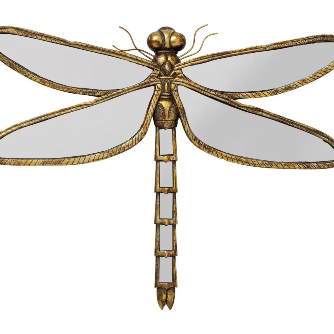 Online Wandschmuck Dragonfly Mirror 71 Bilder