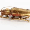 Online Wandschmuck Longicorn Beetle Gold Bilder