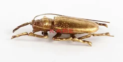 Online Wandschmuck Longicorn Beetle Gold Bilder