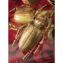 Online Wandschmuck Longicorn Beetle Gold Bilder