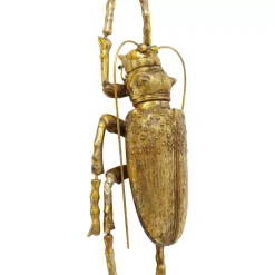 Online Wandschmuck Longicorn Beetle Gold Bilder