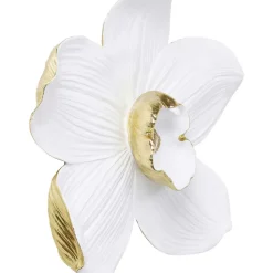 Best Wandschmuck Orchid Weis 54Cm Bilder