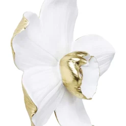 Sale Wandschmuck Orchid Weis 25Cm Bilder