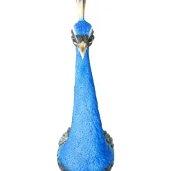 Online Wandschmuck Peacock Bilder