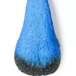 Online Wandschmuck Peacock Bilder