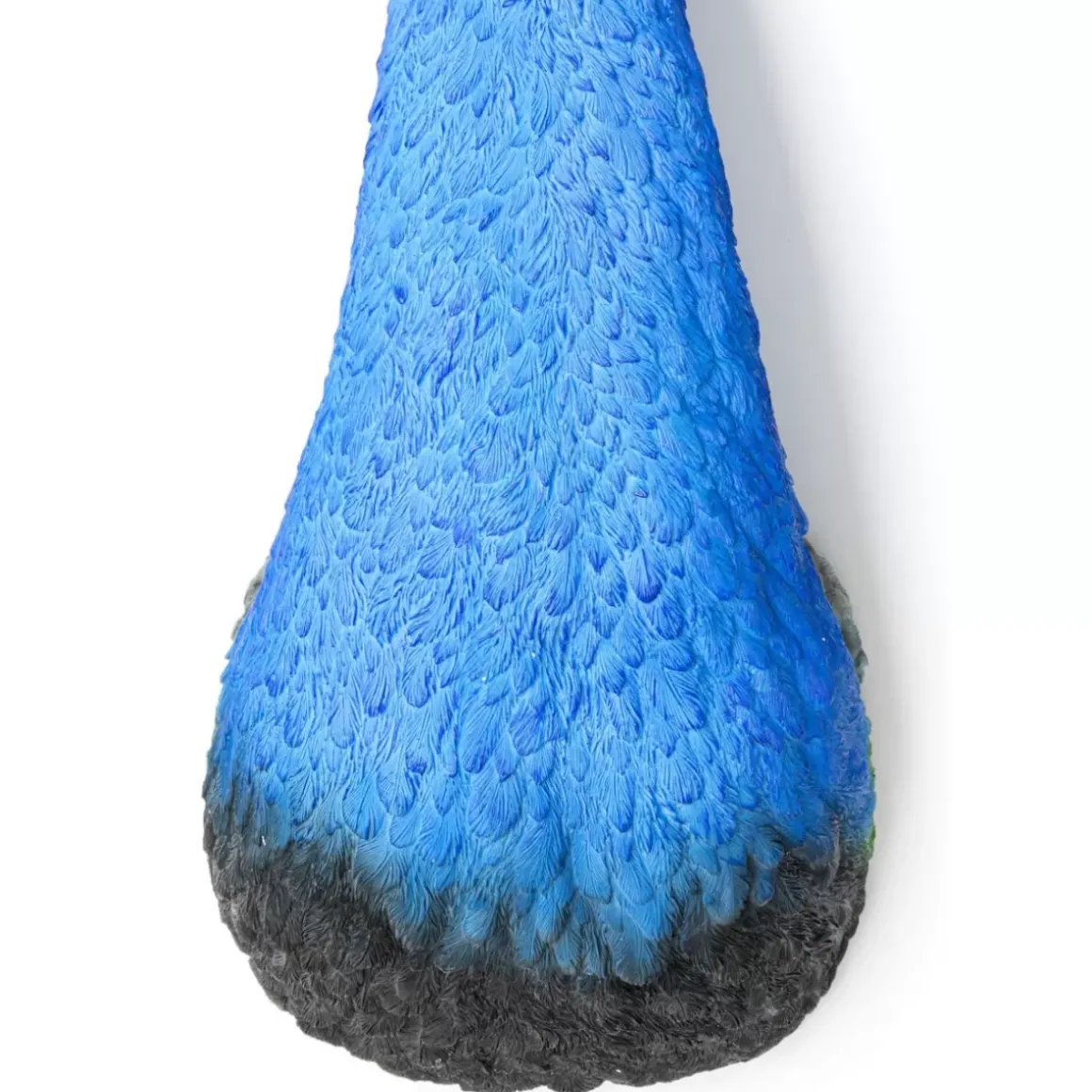 Online Wandschmuck Peacock Bilder